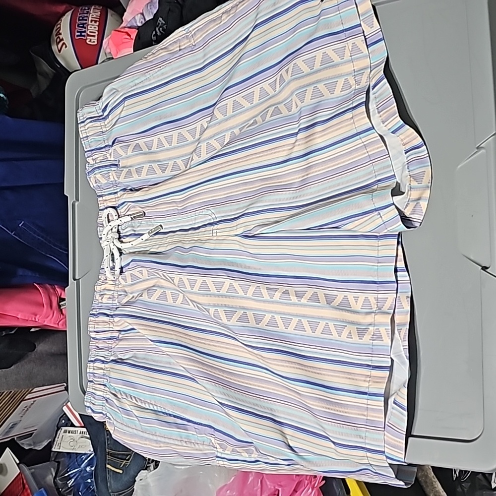Southern Marsh Swim Trunks